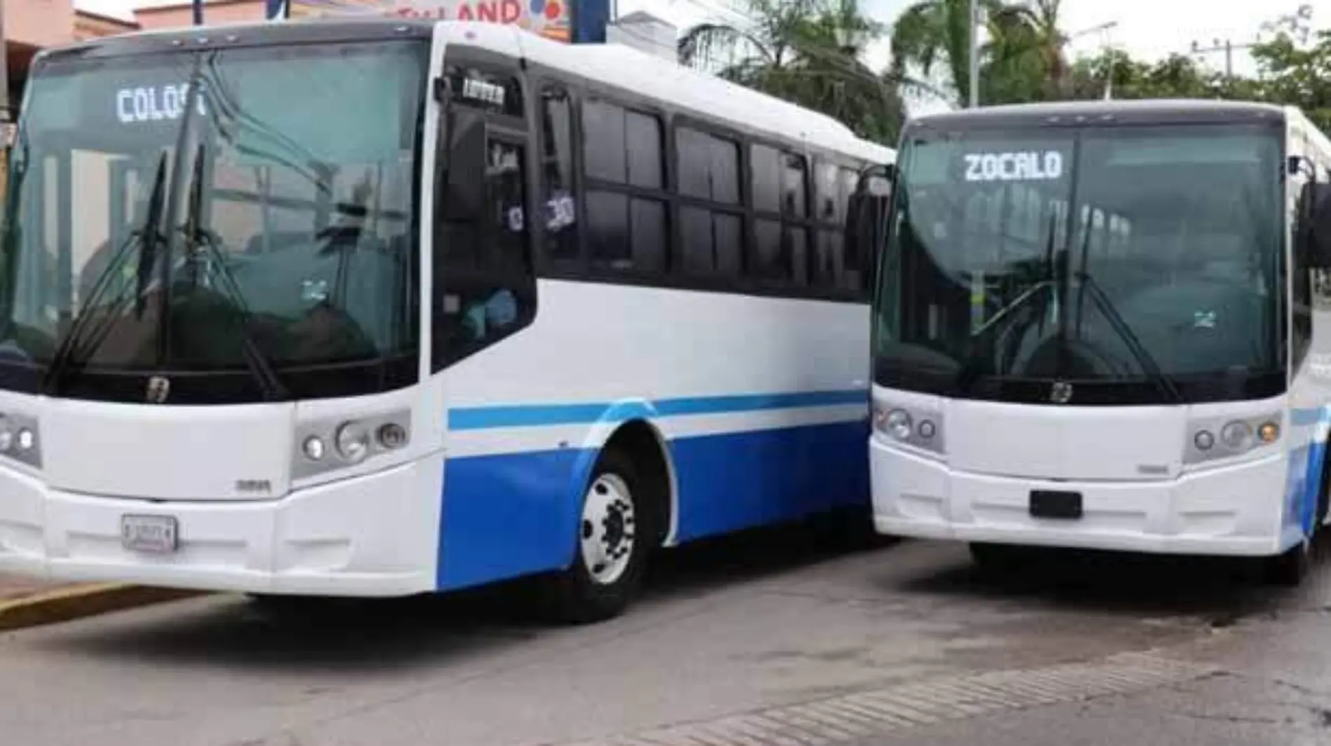 Nuevos camiones de la ruta Coloso Zócalo